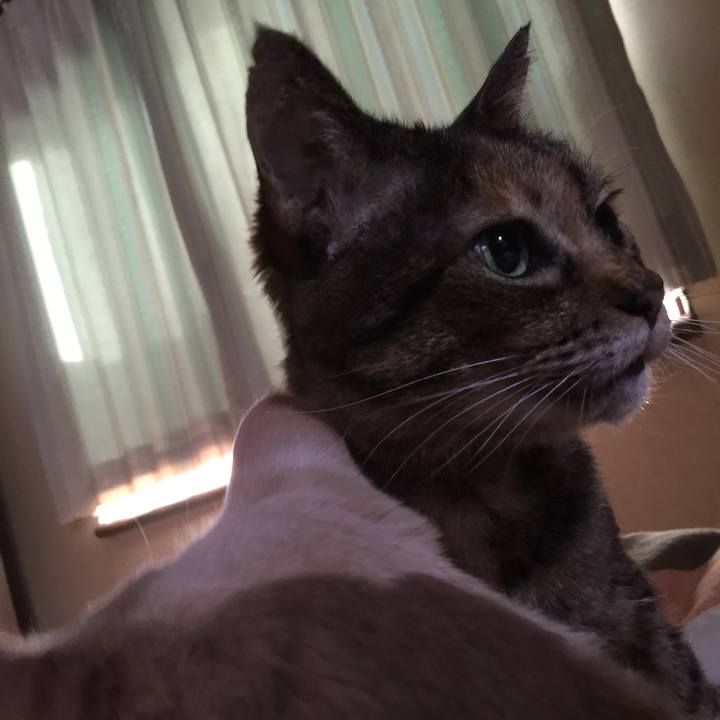 D64d3ddb 944a 4e1a b9c4 b68fd4a7ac21 1529356041442