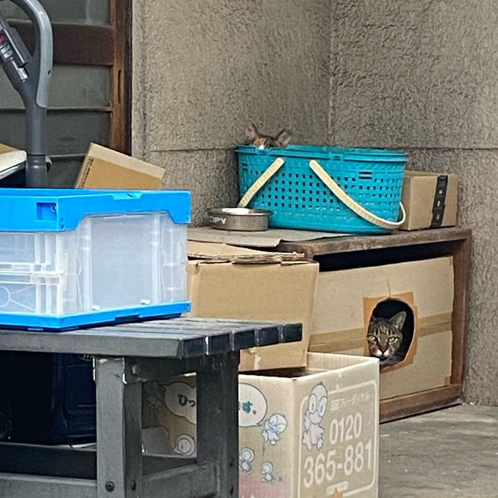 D64d4161 89c2 480b b7c1 31466eb01d2b 1666518079770