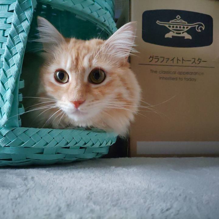 D64d4f68 e63b 4872 a9fc d21902b2e49d 1659780216180