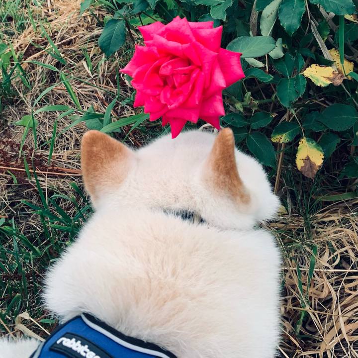 D64d6cea 2894 4280 8625 3f34d0fc1737 1626816567092