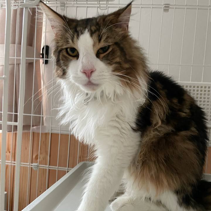 D64d95ed 319f 46d5 9bee fbcfbda7fdae 1646453842598