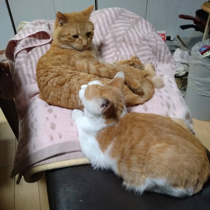 D64d9e8c 0eff 4ffc b83d ad94115795e7 1731412623836