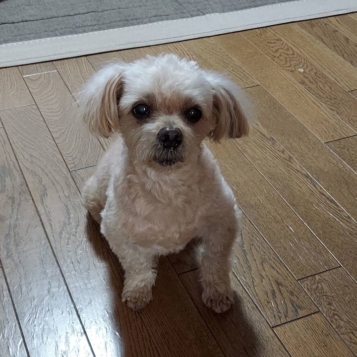 D64da077 2902 4711 ad9f 009d2a8a2a9e 1759973903581