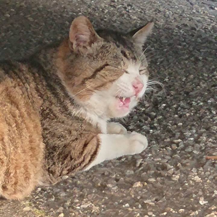 D64ddb70 8774 4ac5 abbd bdf047792e8b 1528638853121