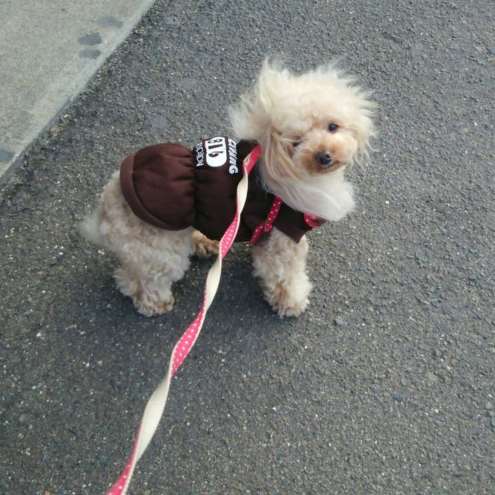 D64dde9d c7d2 4029 9b4f d839c568d7f2 1547876161498