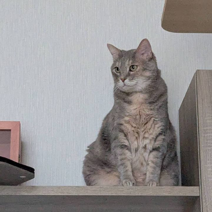 D64dffd3 a48b 4063 b1e6 20d320afd5d5 1753170740086