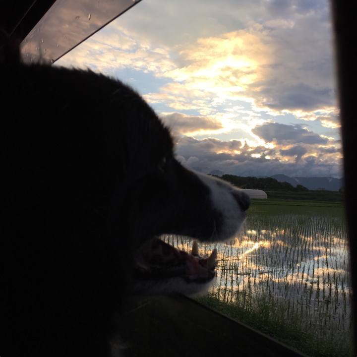 D64e0a72 fda3 4677 8191 4bc2fb77b692 1531048351963