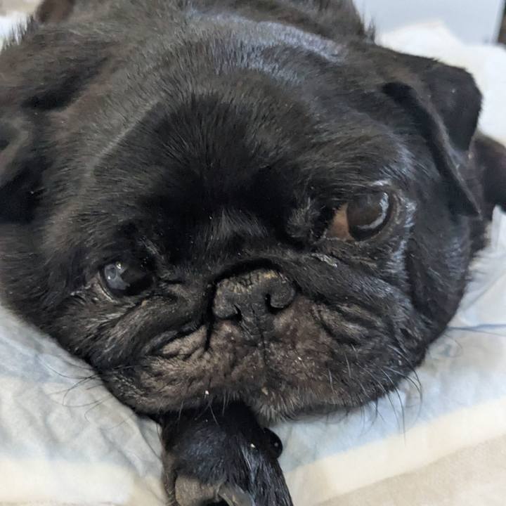 D64e1929 c69f 48a5 b4ed 0f3ce6008984 1754000387270