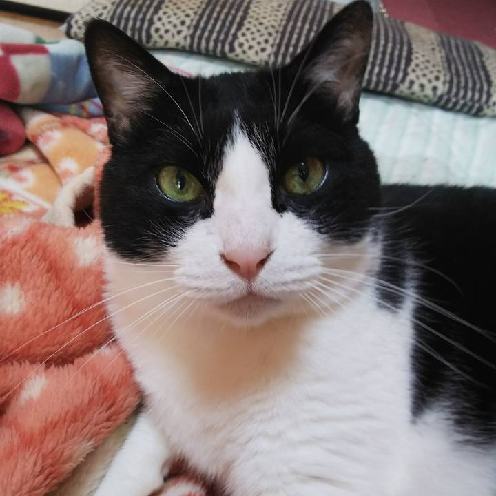 D64e3288 2d55 4a20 961d 6ed172fdfcbc 1542416762164