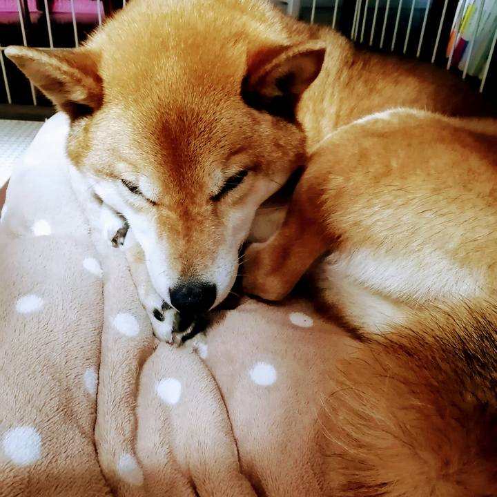 D64e6307 c36f 4b88 bb41 f6f2607be321 1586059110788