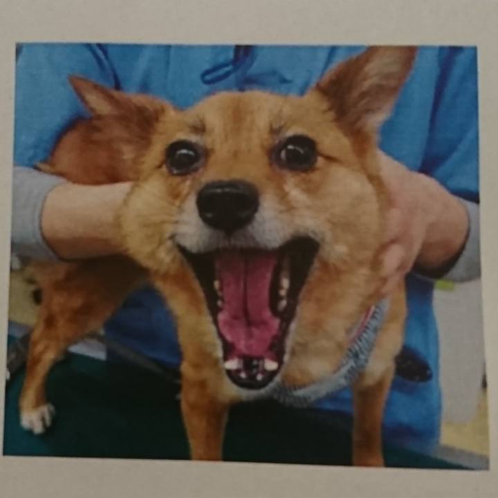 D64ea109 30c6 4bbd 975e 11b870fc2f16 1550378538339