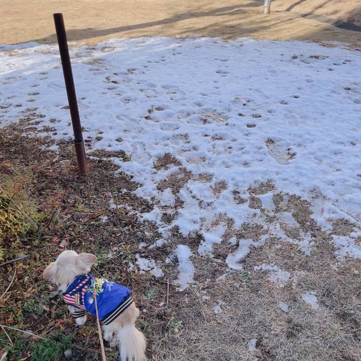 D64eaffa a830 4171 91ba 4946efb3fd24 1767684390179