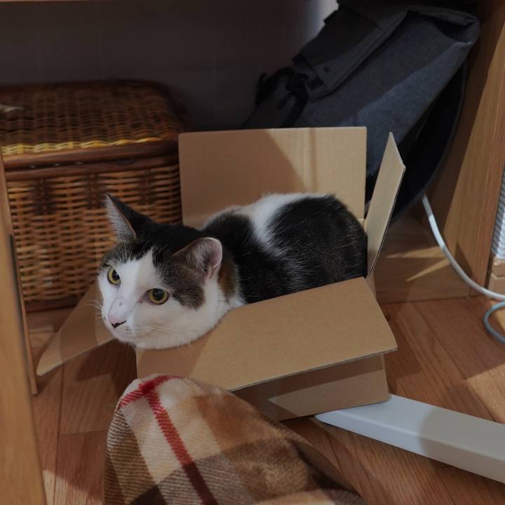 D64eb092 3ce0 40d2 a495 f9730a34c75d 1597363693816