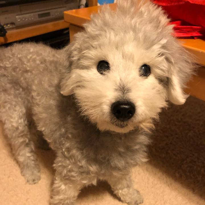 D64eb2a7 f46d 4f4e 8ee9 af6b98db98df 1620021418395