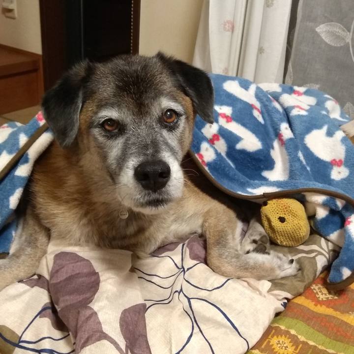 D64efc5a 9650 40ab b4f0 2dddd88830f7 1572339312523