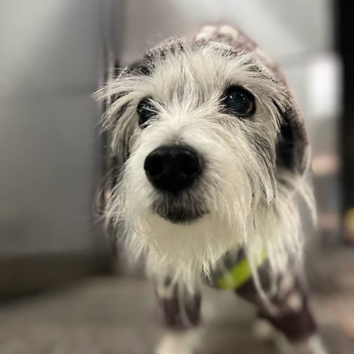 D64f3736 5743 411f b9d0 ef31503880d3 1640954896623