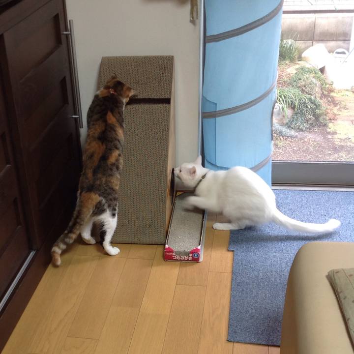 D64f9752 8d39 4ddc 97da fbc56b35f6a0 1644644997881