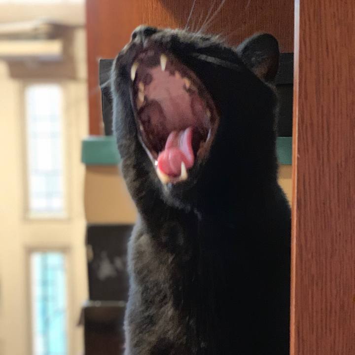 D64fae69 9a46 40a7 994a 4312ab726b82 1564101390541