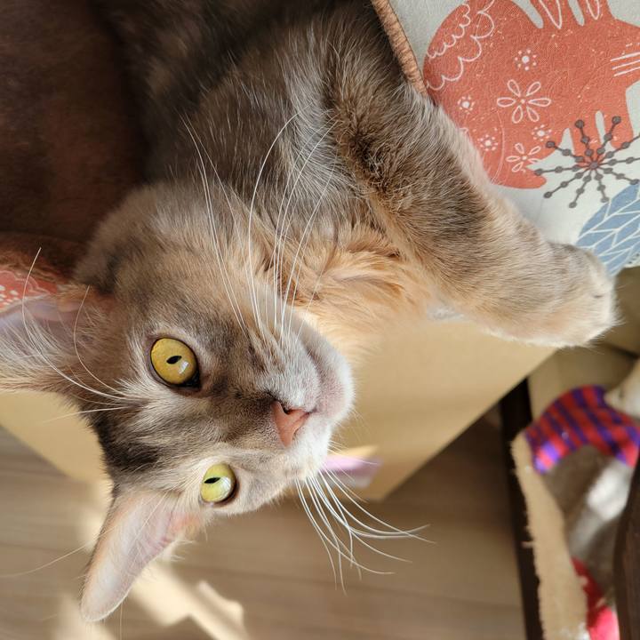 D64ffece 73cb 4887 ad76 b3edcaf07957 1647321550232