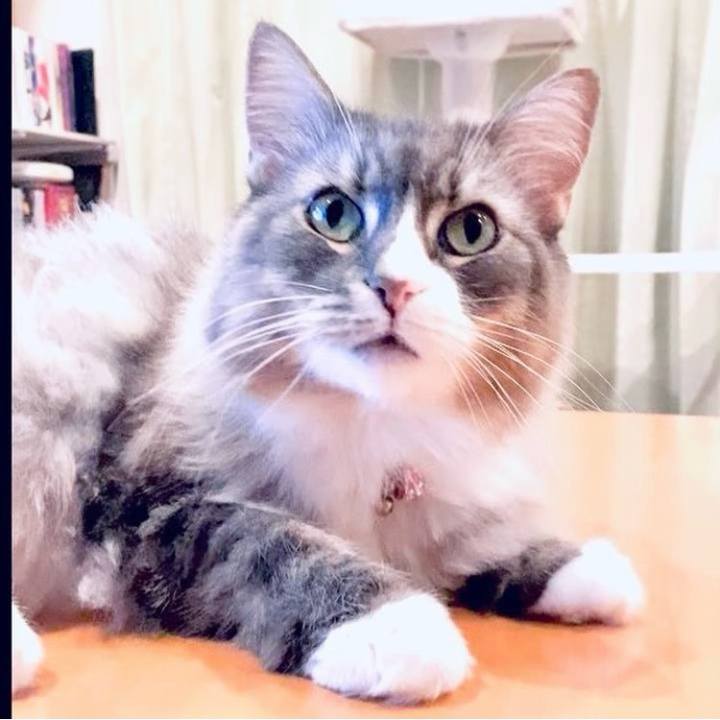 D6503167 d113 4193 b37a dcce08cedee2 1755704839545