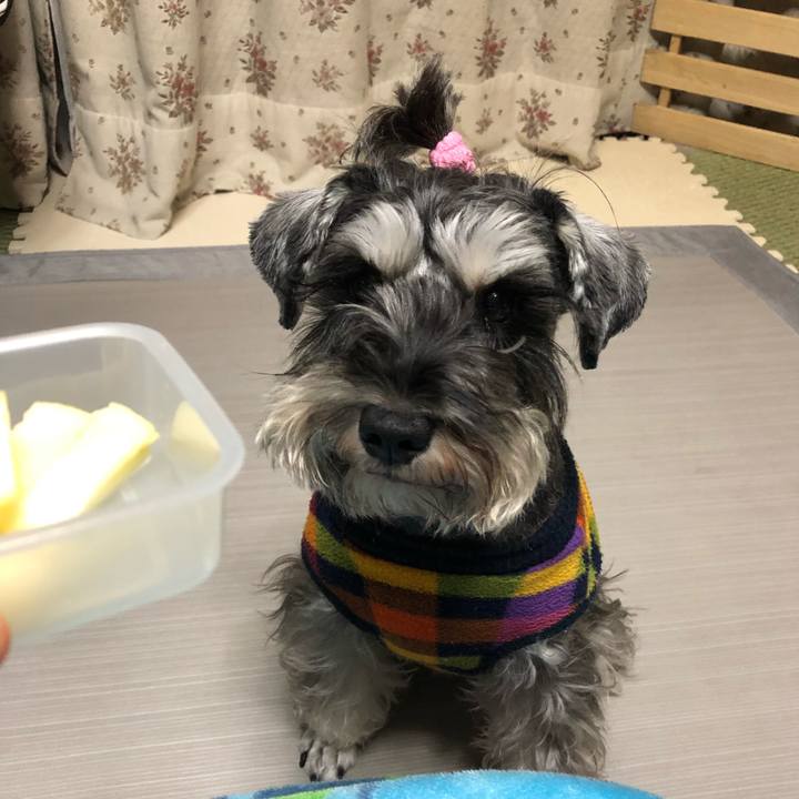 D6505201 8e0e 4626 b2e6 1f5f5b5aea9e 1573735033400