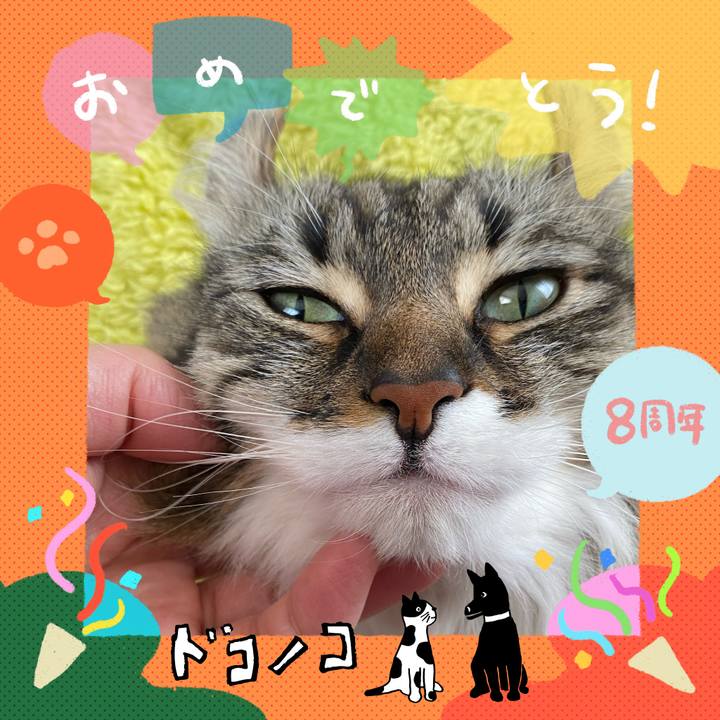 D65093de 459d 4d6d a319 616f64769aab 1717996268987