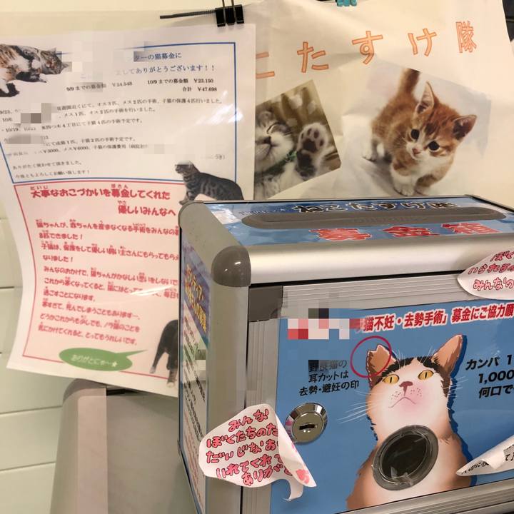 D650ba97 370c 4557 a053 936ac687cc77 1522319026880