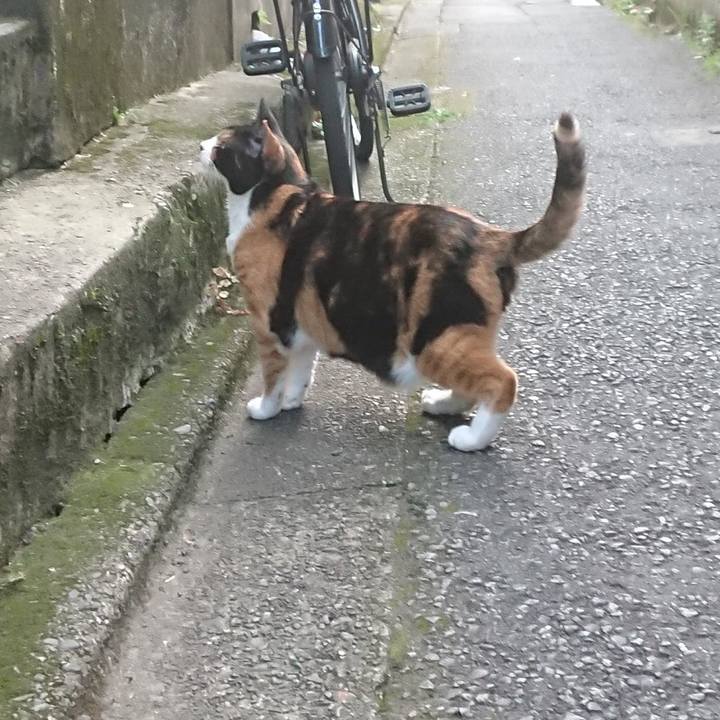 D650f7ff 97be 4a82 b929 e41367b816b0 1597569073126