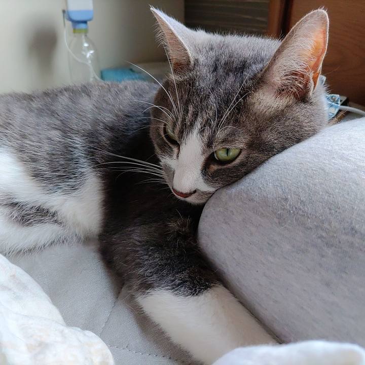 D6510d06 d12f 4df2 93dd 79fa0e256224 1687556829715