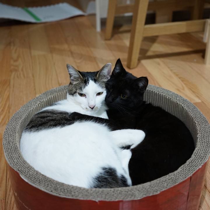 D65158e5 27d2 4ee0 9a98 9a9a95504362 1512947596032