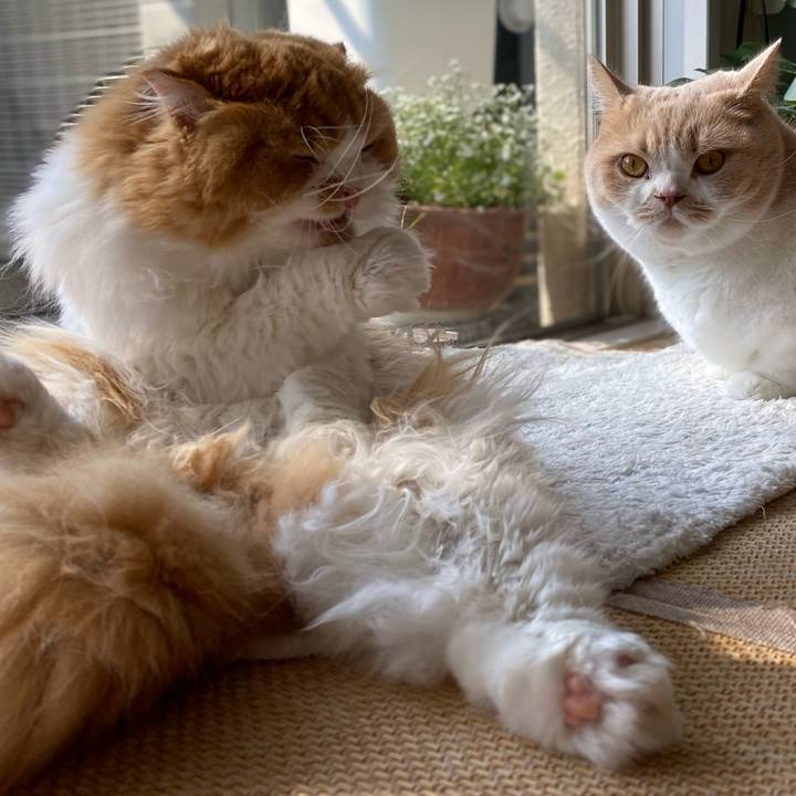 D651a20c 5b19 4506 804e f56b7d6bbbbf 1604626631655