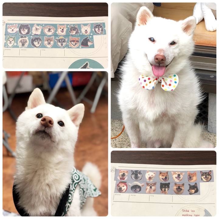 D651b794 4b07 46b0 8a4e 33131969f1b4 1663679856734