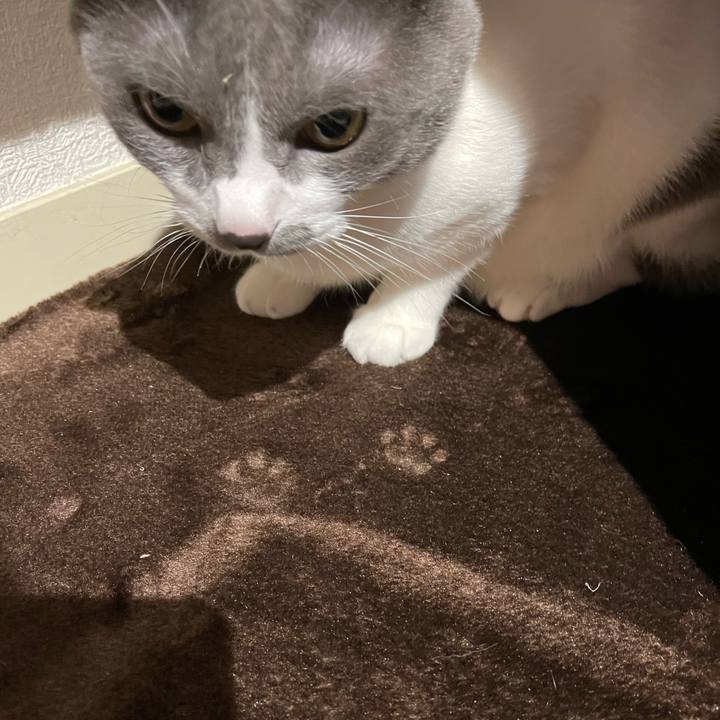 D651b803 483e 4159 bf4e 4729655d47cc 1663664414875