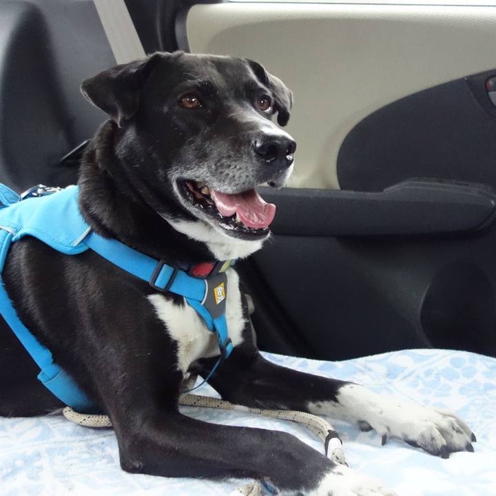 D651d277 fbd8 4358 8fcf 1dca018f3dfe 1682335134156