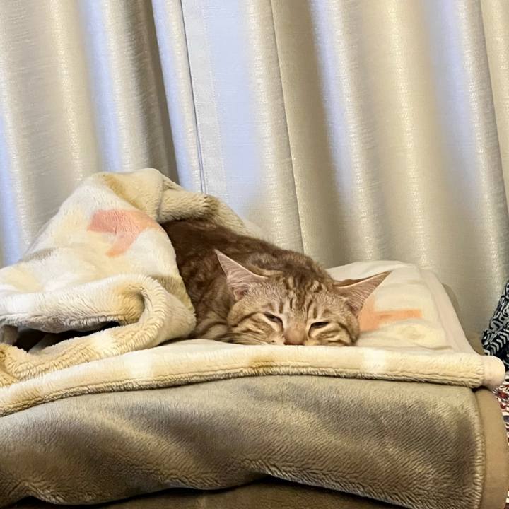 D651d6df 1782 40fe 998c 51fac4c2e75b 1673097274900