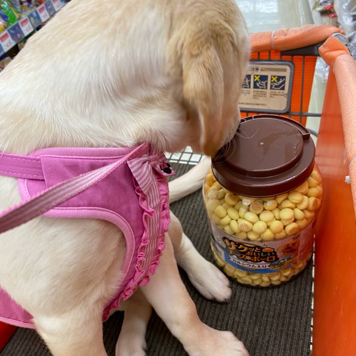 D652240a fd67 41d4 9a8d f6ecd5c5b71c 1614743355977