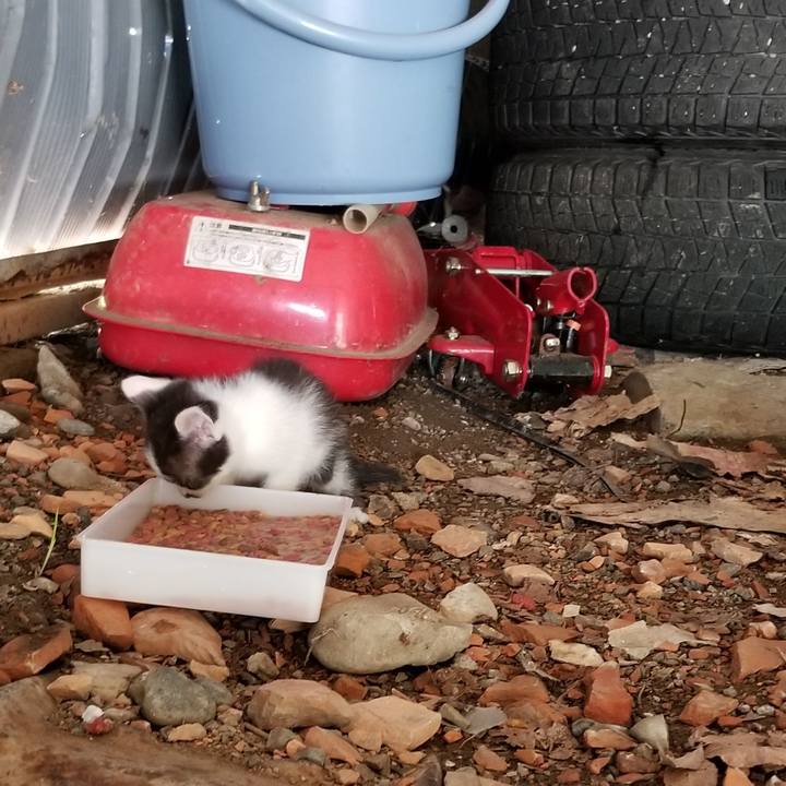 D652365e 564a 440e 9cc7 fcce1bb63935 1567471410898