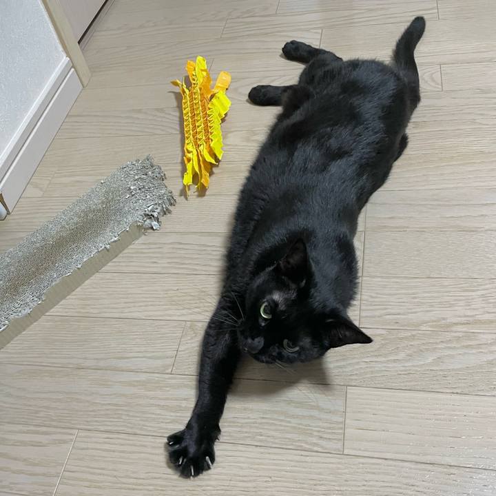 D6523cae 8b1e 4ba8 ae79 8639cb07fc35 1719322687149