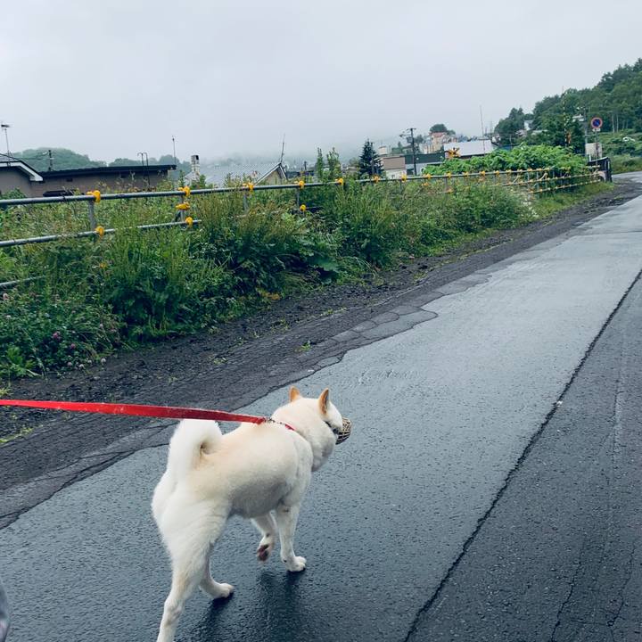 D652468b 07a9 446c 8019 2c1ff2ab2e78 1593378314182