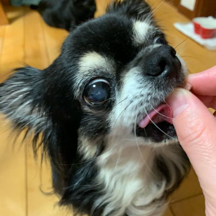 D65270f3 3568 43d0 893b 7bfbf9a40d7c 1559302352507