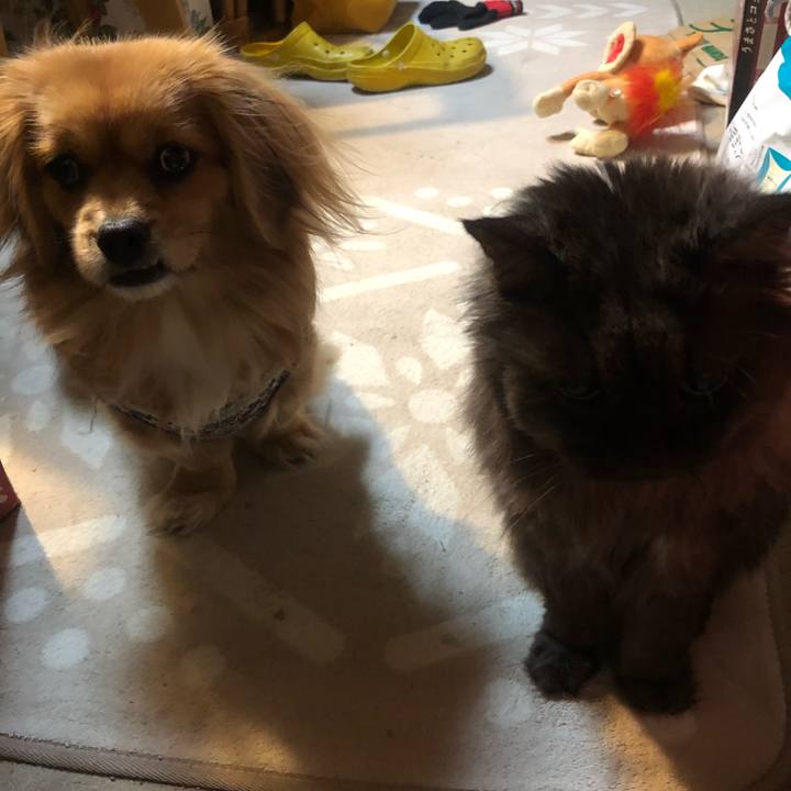 D6529b3e 5744 4223 ad15 af61b8810bf9 1546986198684