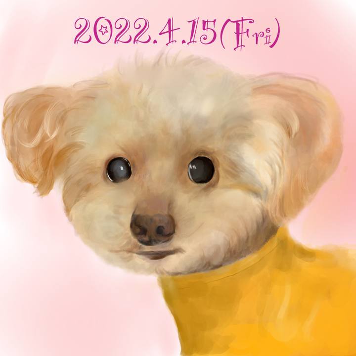 D6529e58 5700 4ade a4ea ea159da74c66 1650021658345