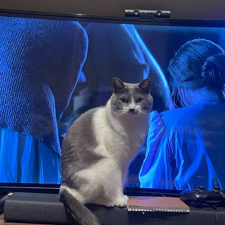 D652d4e1 109d 4169 8153 485de8886667 1676652194040