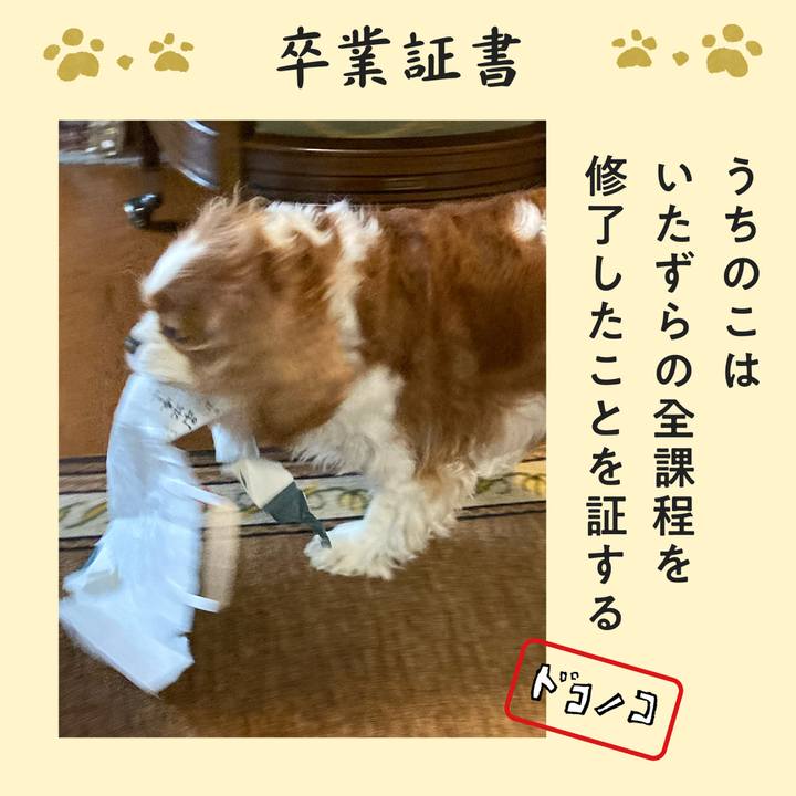 D653266d 1f9d 43e5 8d0e fb1462a2b323 1772166593096