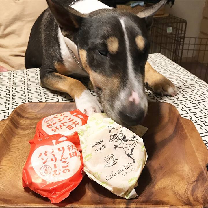 D65351f1 1f34 42d3 8752 3ecc201d0730 1511304422547