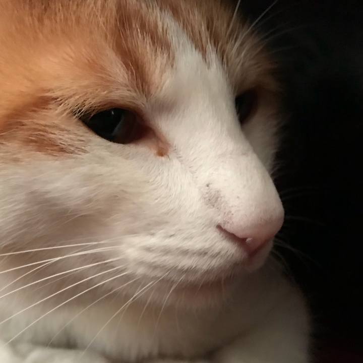 D65376c3 27c0 401e b6bd 8d693405ab22 1512082484739