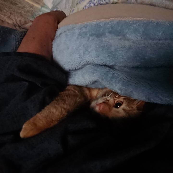 D65396d7 f20f 48cd a924 ae17e956acbf 1654031418054