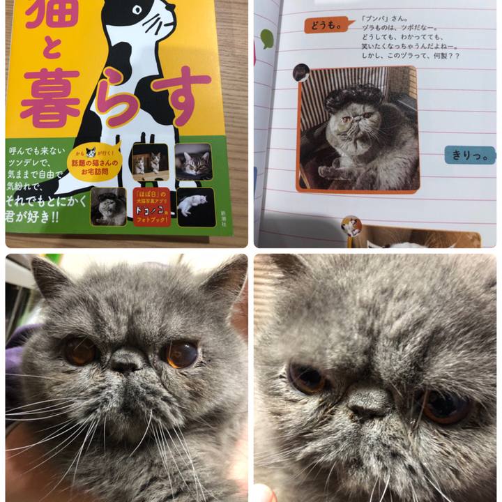 D653cb7c de11 45aa a0ed d2863e9fa144 1556707493425