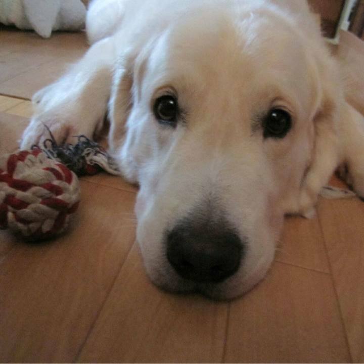 D653ece2 3e9f 4bcc 885b 2e72205eb9dc 1591368903836