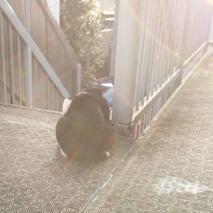 D654051b 3fcc 4dd3 a04e dc6f42367ddc 1601594410386